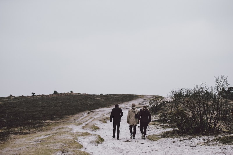 friends group people and walking 4k
