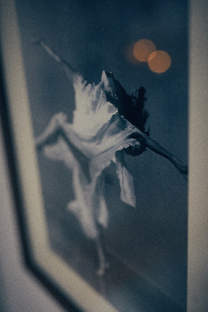 free as a bird 4k