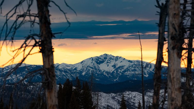 mountains, snowy, forest, trees, 4k