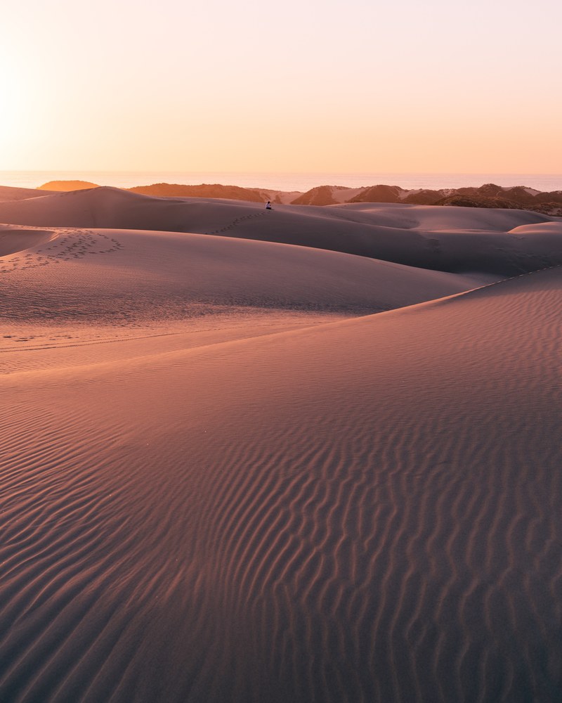 pismo beach sand dunes 4k