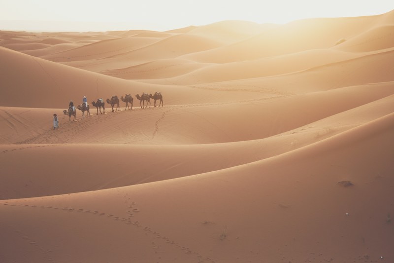 have you ever ridden a camel in the sahara desert 4k