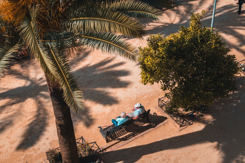 a high angle shot of an elderly couple seated on a bench under a palm tree, never get old 4k