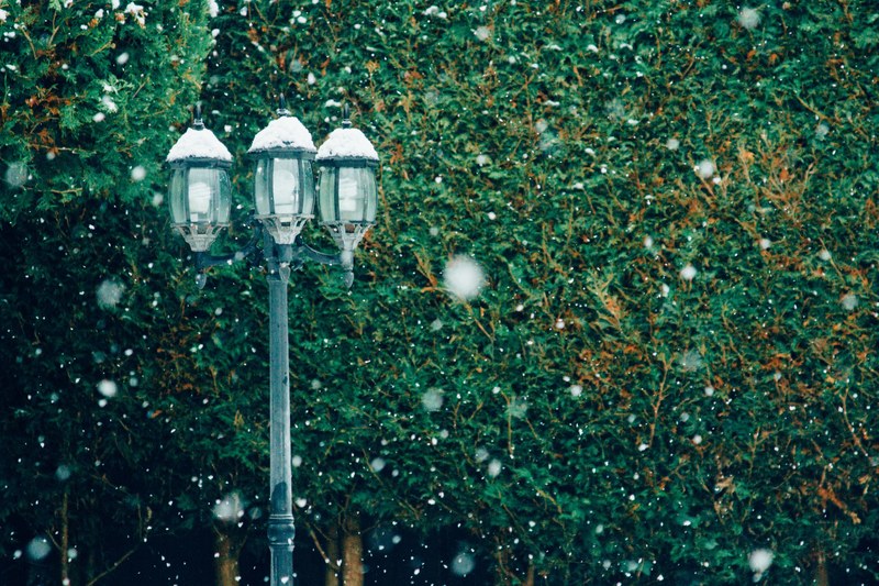 a lamp post along a hedge of greenery with winter snowfall, lamp post with new snowfall 4k