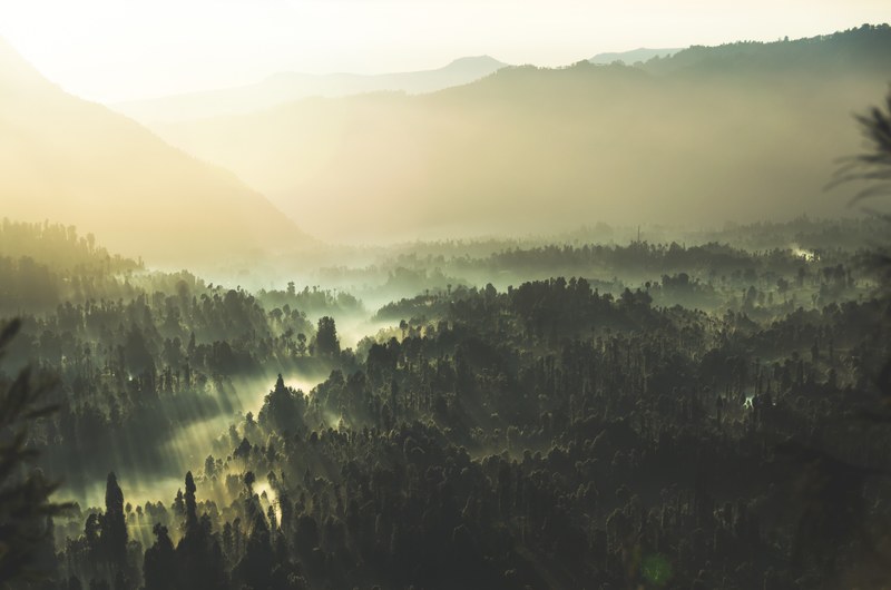 rays of sun shining through the fog onto the trees of the bromo tengger semeru national park, sun rays through the fog 4k