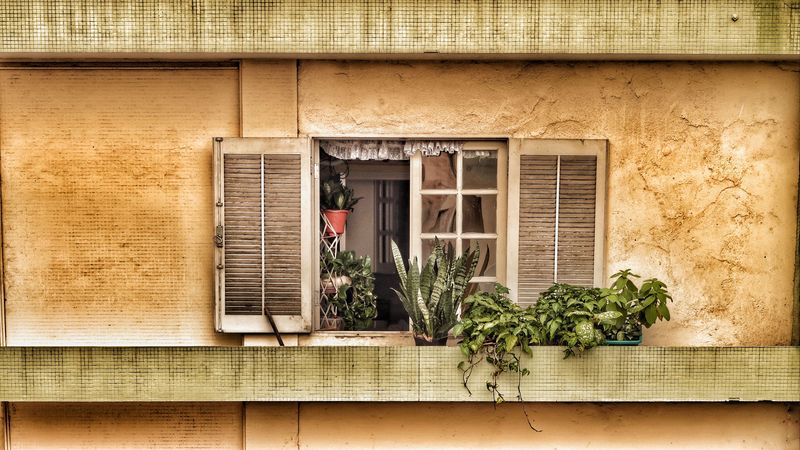 window, balcony, flowers, 4k