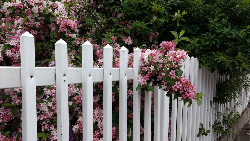 obstruction picket fence fence and barrier 4k