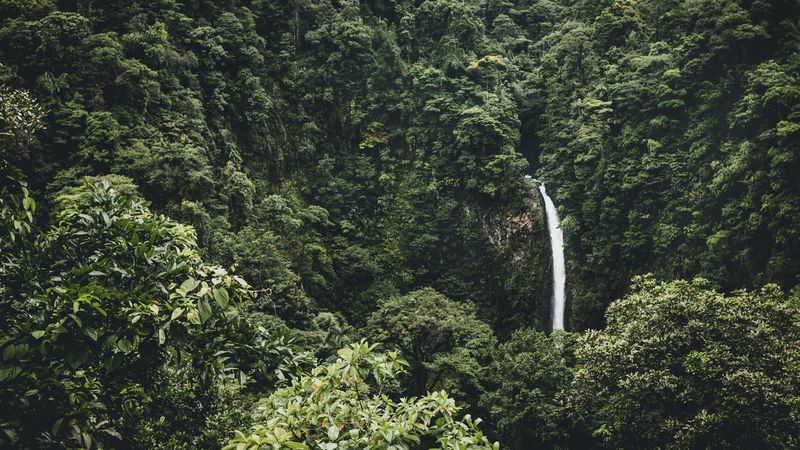 waterfall, trees, top view, 4k