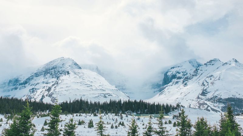 mountains, snow, peaks, trees, fog, 4k