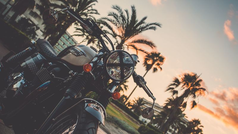 motorcycle, bike, palm tree, 4k
