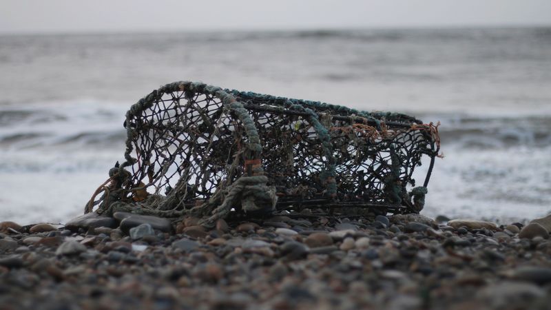 mesh, sea, shore, 4k