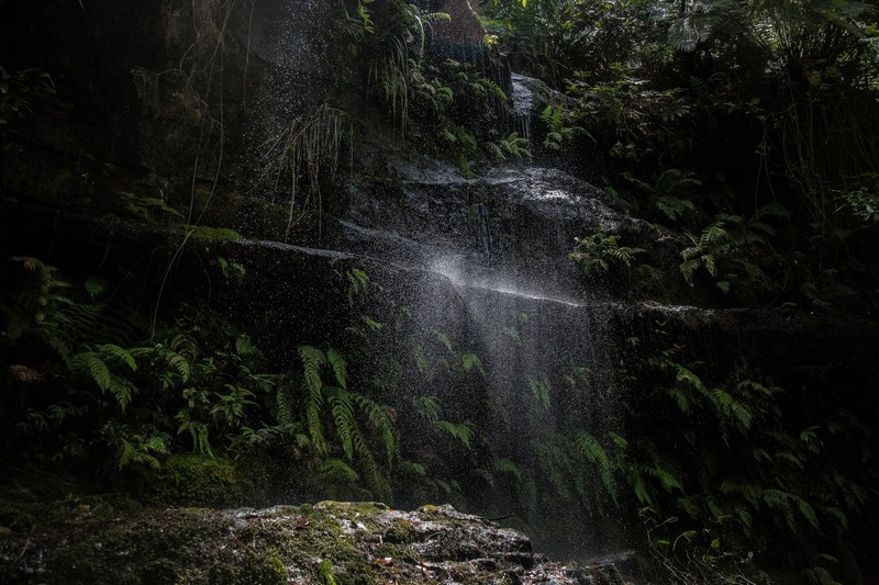 lost in the jungle 4k