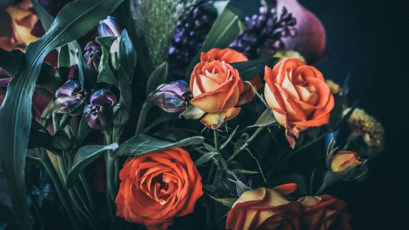 roses, bouquet, flowers, composition, 4k