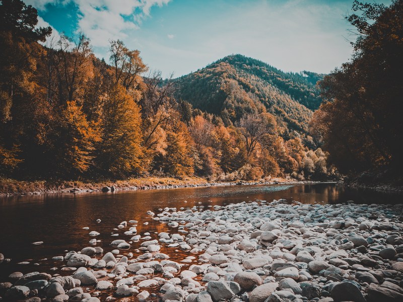 a rocky creek near wooded hills in the autumn, creek in the autumn 4k