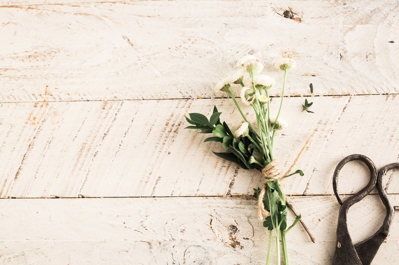 flowers and florist scissors 4k