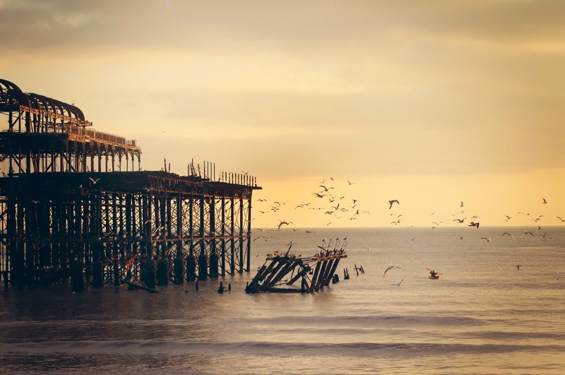 an evening shot with a golden sunset showing a group of seagulls flying around west pier in brighton, seagulls at west pier 4k