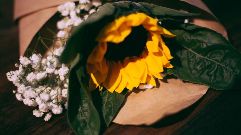 sunflower, flowers, bouquet, composition, 4k