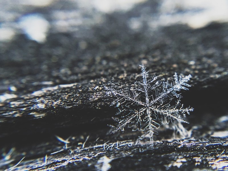 iphone 6 iphone olloclip and ice 4k