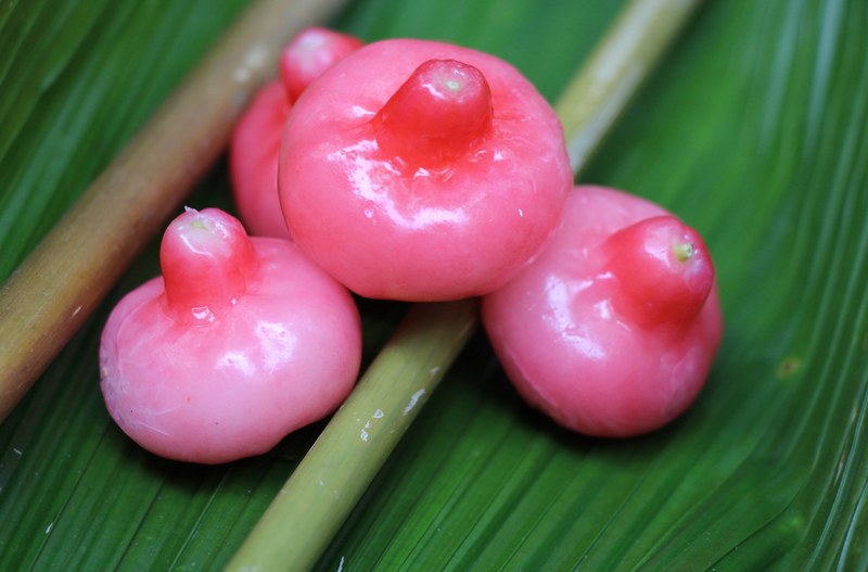 freshly harvested jumbu sri lanka 4k