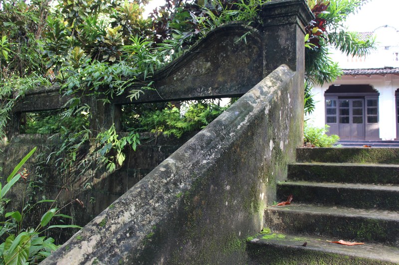 jungle reclaims the historic sirisewana villa 4k