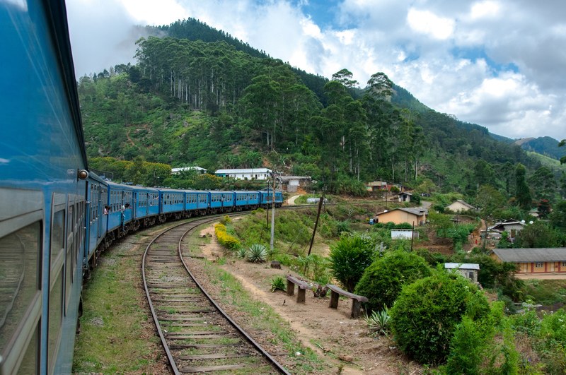 travel tree train and sri lanka 4k