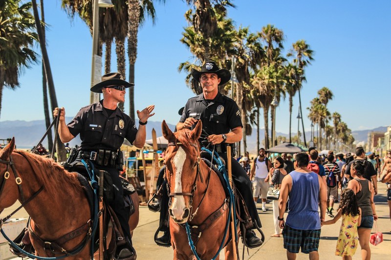 cowboy californium horse cop and horse 4k