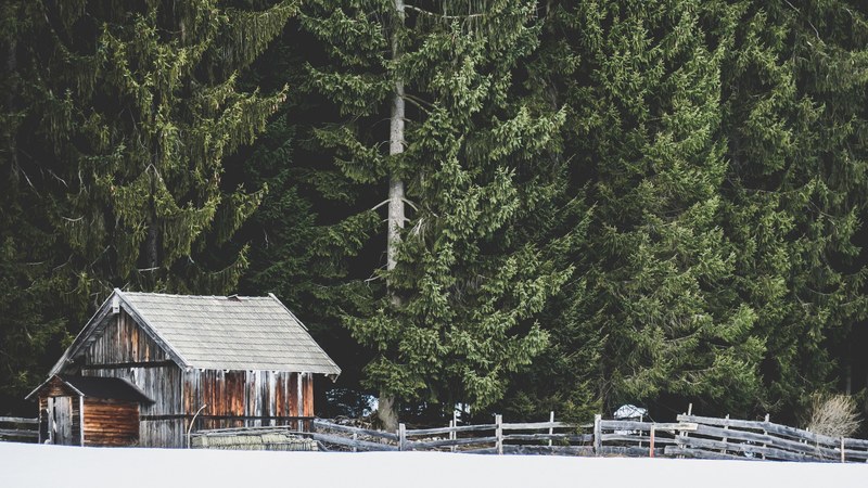 small wooden house covered in ice surrounded by green trees in leutasch, day 5 unsplashdaily 4k