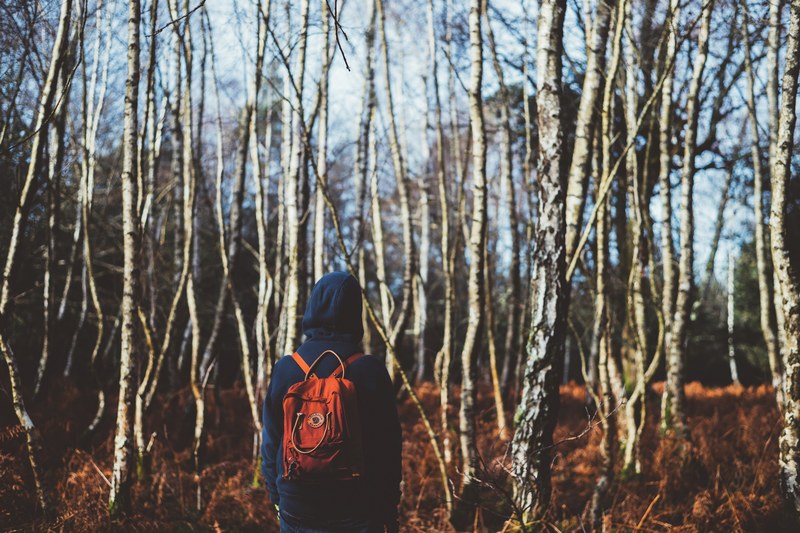 a person with a hoodie and backpack on staring at leafless trees in the winter, follow me 4k