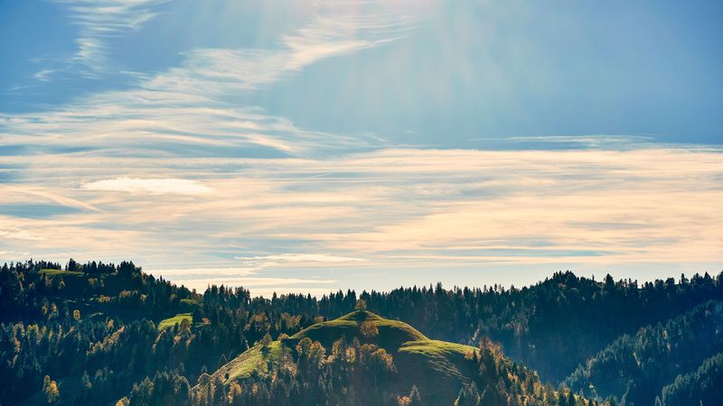 forest, trees, sky, hill, 4k