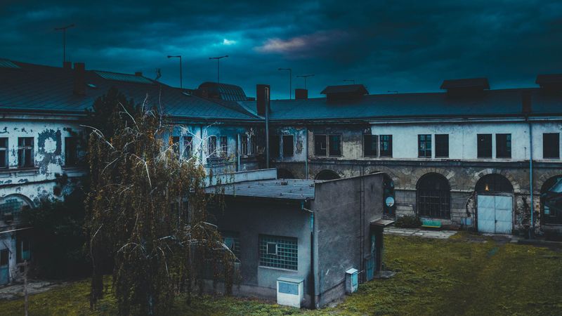 building, old, tree, 4k