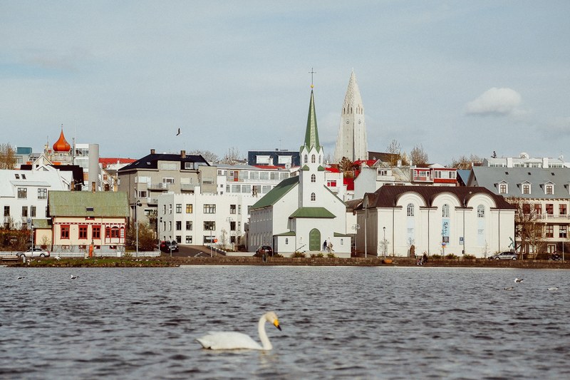 reykjavik swan lake and church 4k