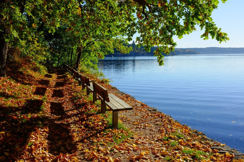 an autumnal scene where there are leaves falling from the trees around benches looking out into the lake in sandvika, sandvika fall day 4k