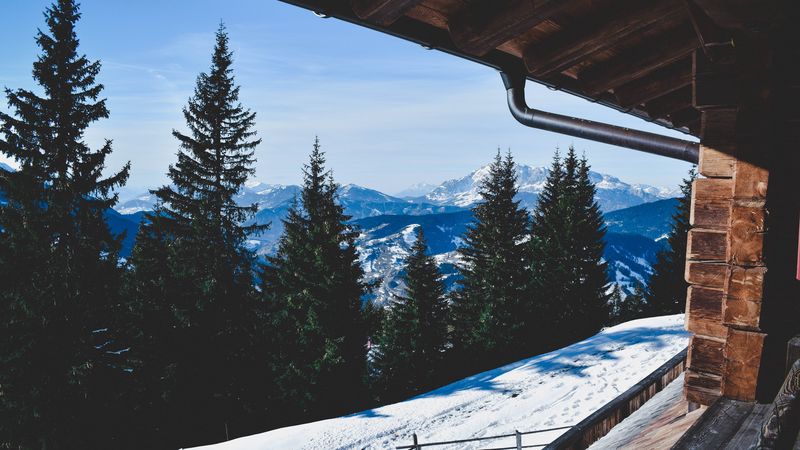 trees, winter, mountains, window, 4k