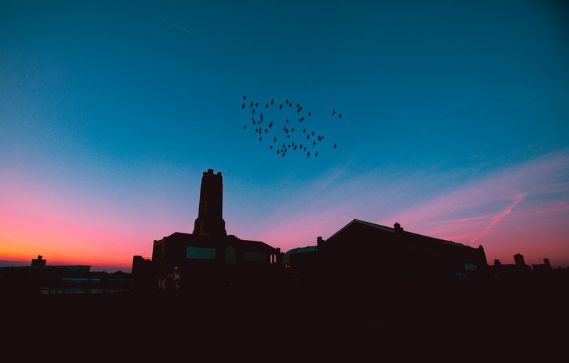 a flock of birds in silhouette over an industrial chimney during a pink and orange sunset at ashbury park, _birds in the trap sing mcknight 4k