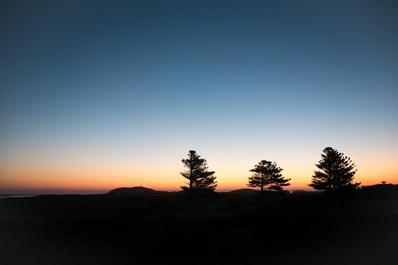a silhouette of three trees as the sun sets in the distance over griffitts island, treesome 4k