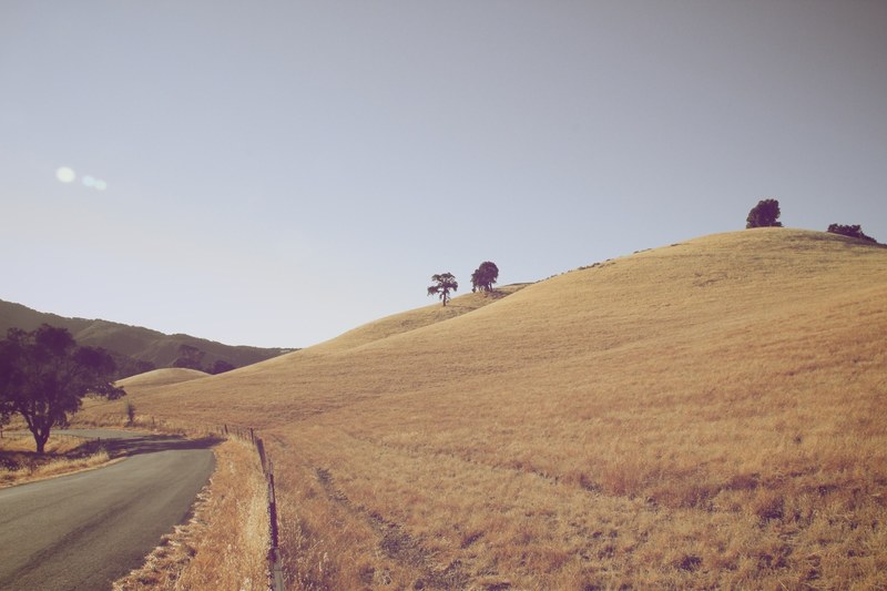 barren country hillside next to a rural road, barren countryside 4k