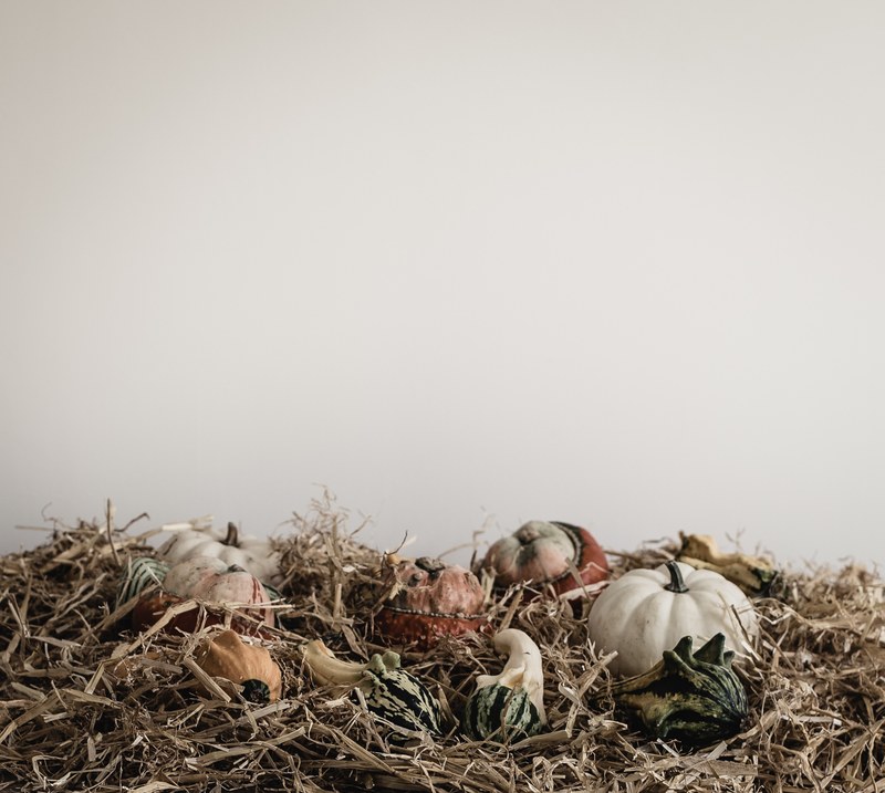 hay straw pumpkin and gourd 4k