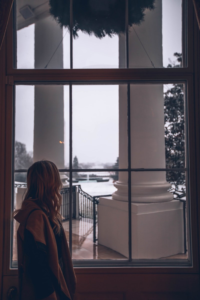 window foliage tree and woman hd, 4k