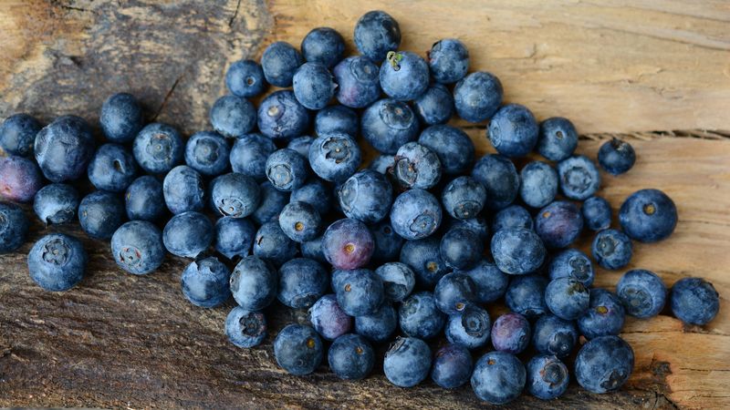 blueberries, berries, ripe, 4k