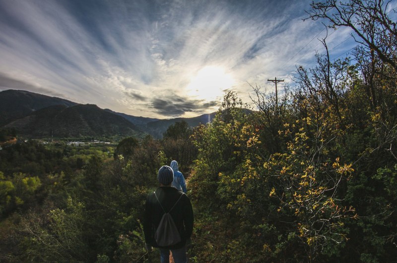 tree cloud hiking and hike 4k