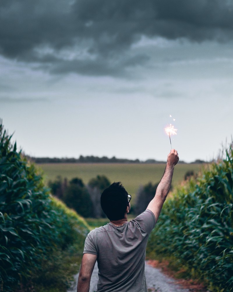 a man on a path between corn fields holds up a sparkler against a cloudy sky, man holding up sparkler 4k