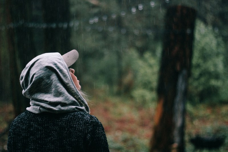 person taking a hike in the woods looks up at forest trees, hike in the woods 4k