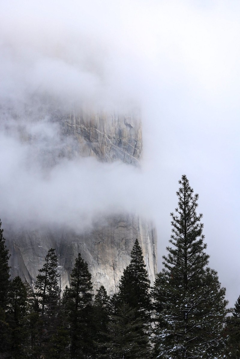 a steep cliff shrouded in fog in yosemite, fog around a yosemite summit 4k
