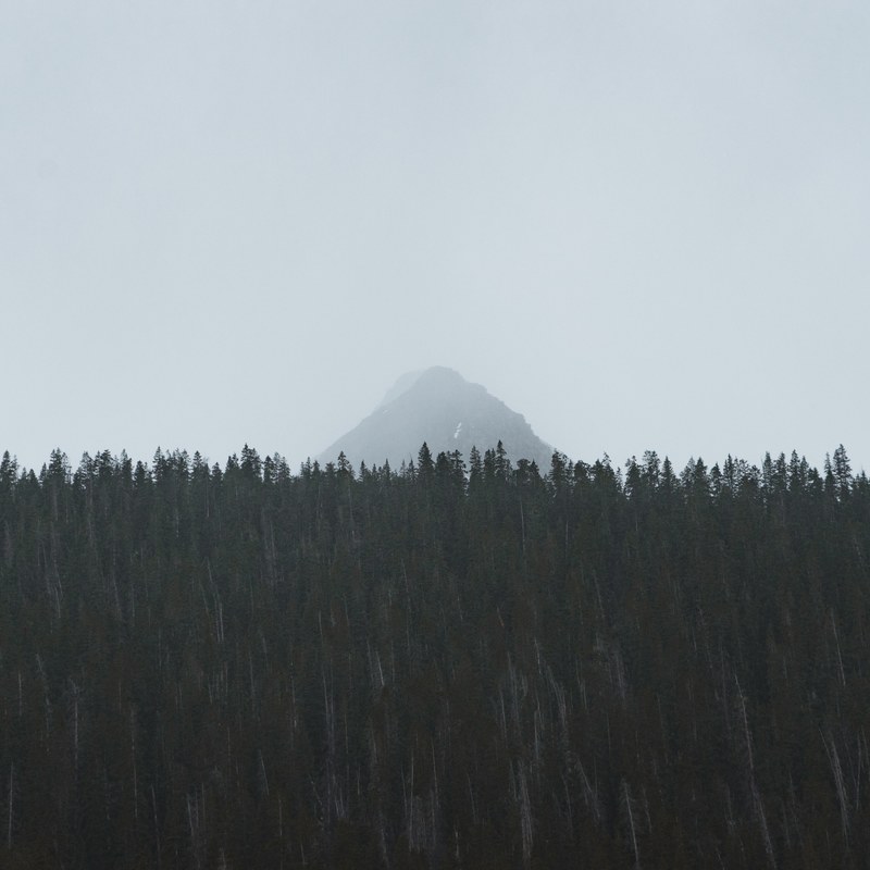 a tall mountain peak shrouded in fog behind a dark forest, tall mountain behind the woods 4k
