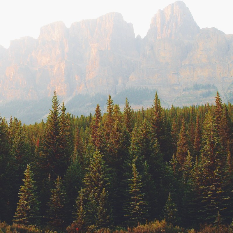 granite mountains behind a haze over evergreen woods, hazy granite mountains 4k