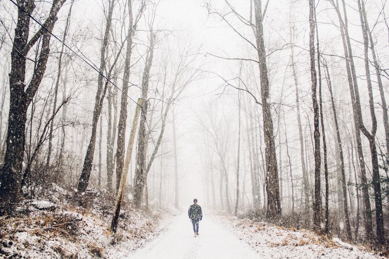 caught in the snow 4k