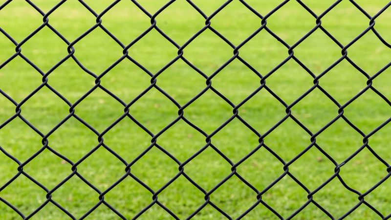 lattice, fence, iron, grass, 4k