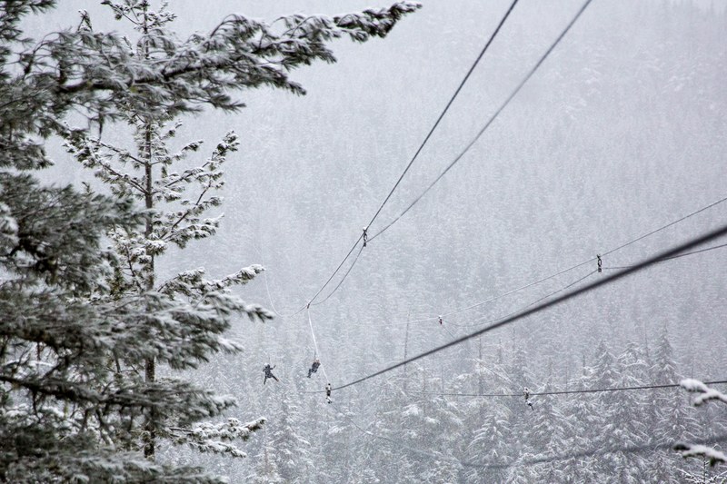 power lines in a treed forest covered in snowfall in whistler bc, ziplinning 4k