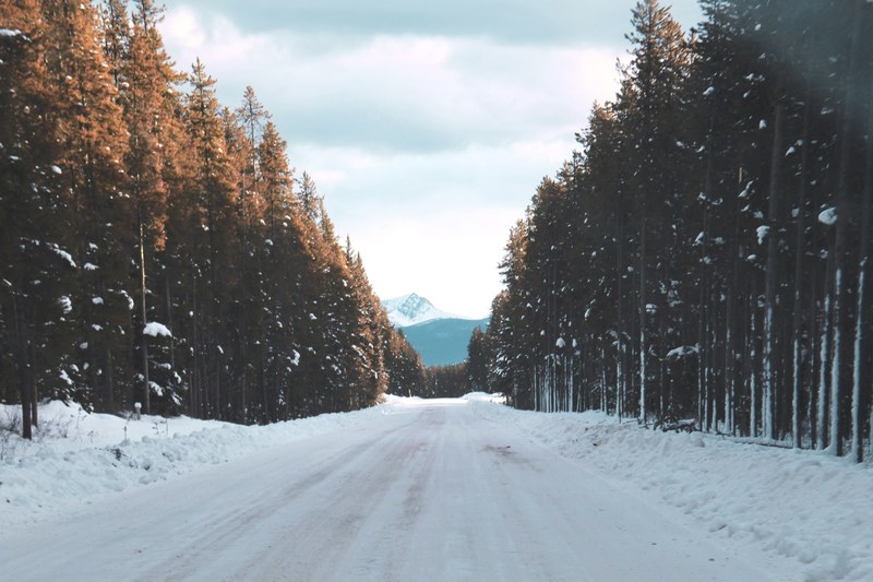 a large road lined by trees on both sides in banff alberta, cold wilderness 4k