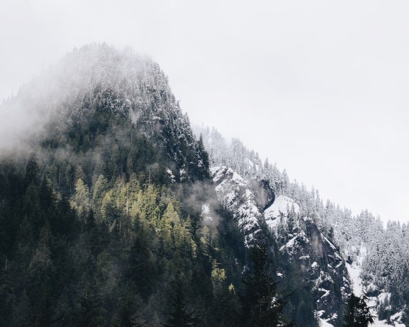 a mountain with its slopes covered in evergreen trees near north vancouver, wooded mountain near north vancouver 4k
