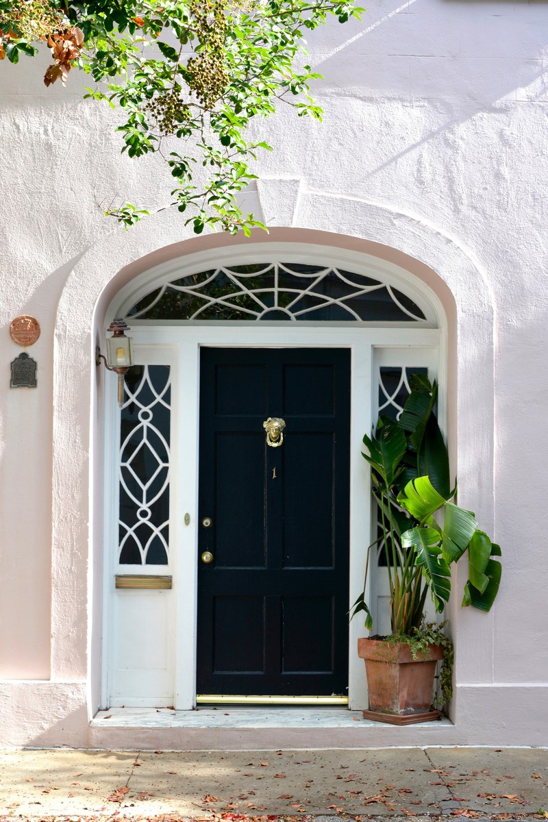 door doorway facade and plant hd, 4k